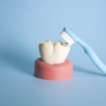 歯みがきの歴史から虫歯予防を考える