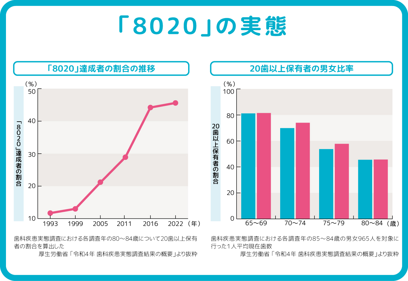 8020の推移